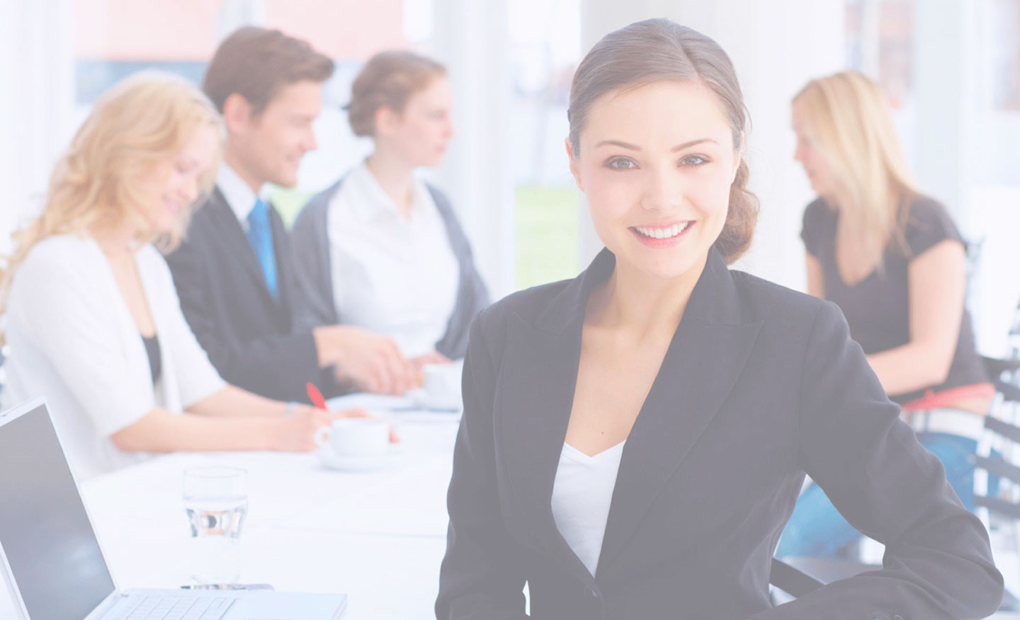 professional translation services, professional certified translations, certified translations, official translations